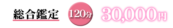 総合鑑定_20,000円